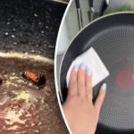 Как да почистите пръските от маслото при пържене: променящи живота