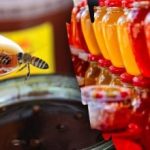 Украйна започна масово да фалшифицира мед – за какво да