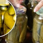 Защо консервираните краставици са меки: една тайна добавка ще спаси
